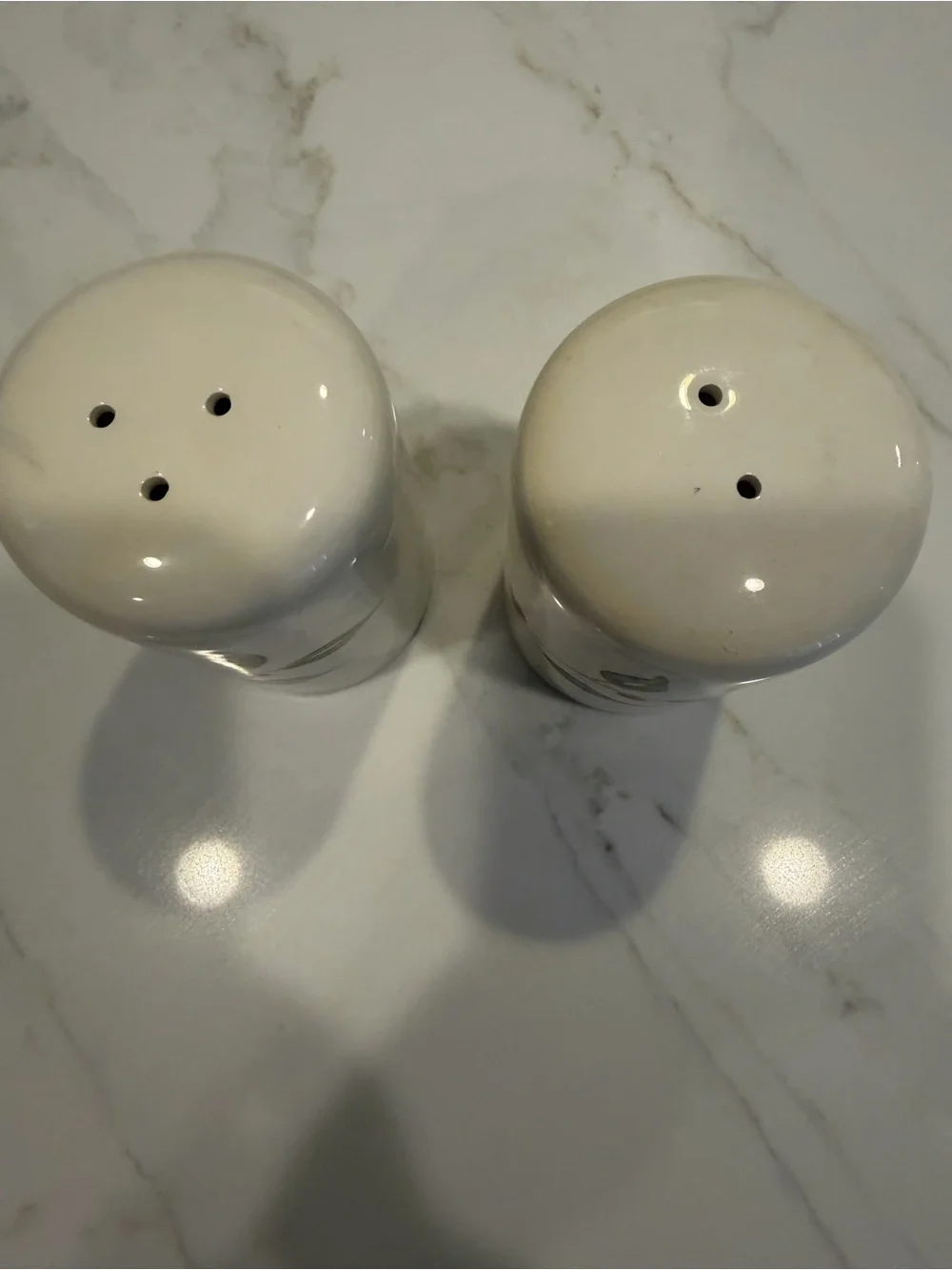 Winterberries Holiday Winter Ceramic Salt and Pepper Shakers 2004 with Stoppers
